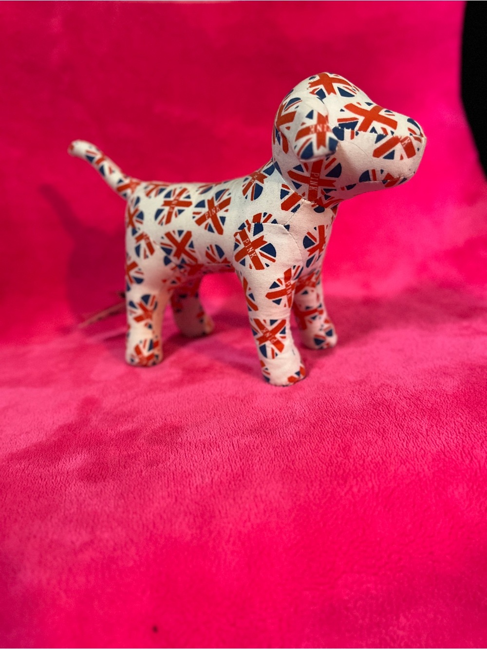 PINK Victoria’s Secret London dog